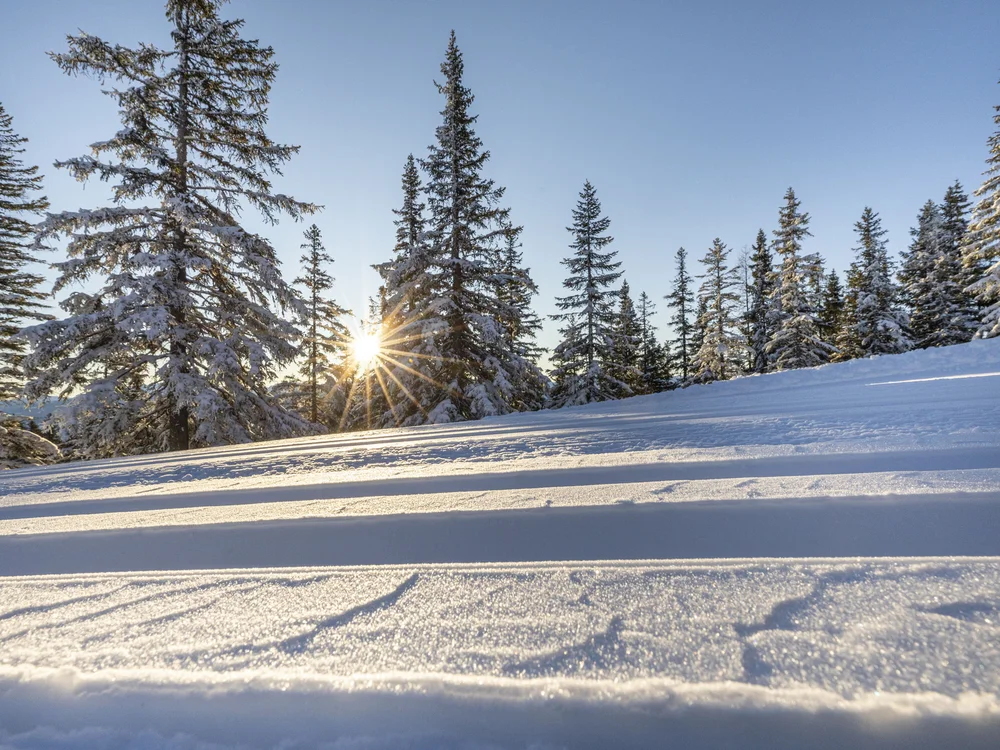 Hotel Unterhof Filzmoos – Dein Logenplatz im Salzburger Land Hotel Unterhof Filzmoos – Dein Logenplatz im Salzburger Land